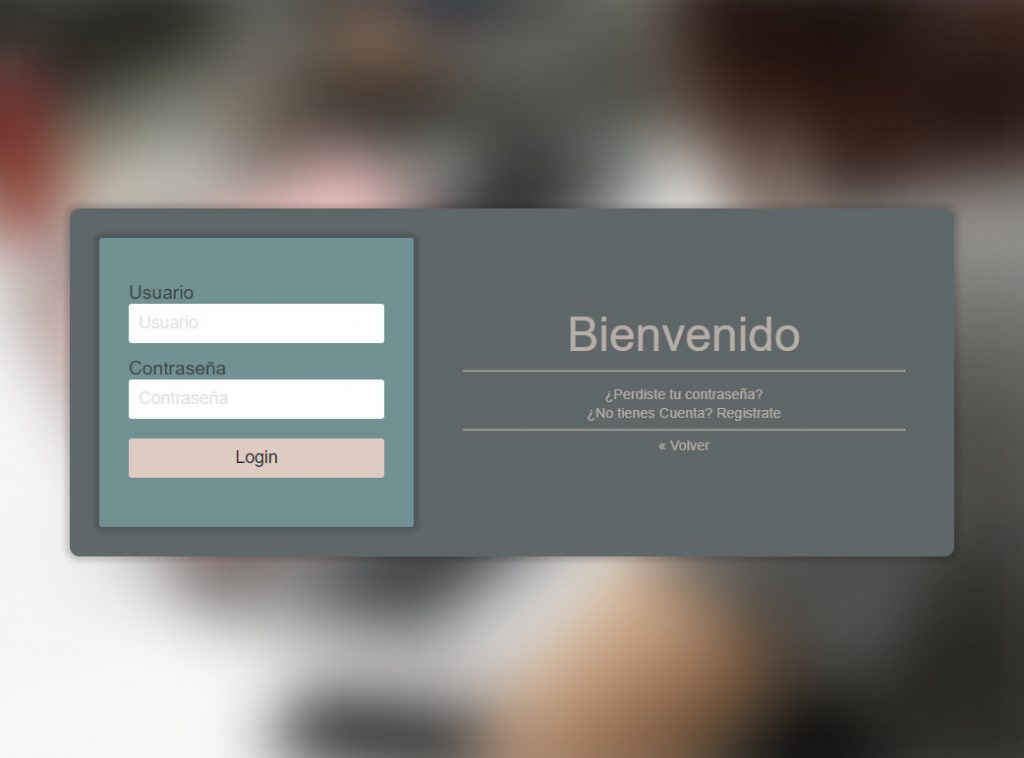 Formulario Login Modern Gray